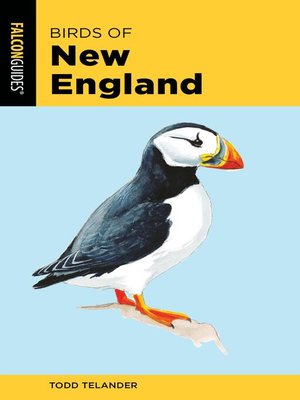 cover image of Birds of New England